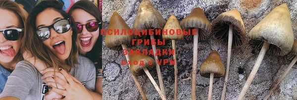 гидропоника Нея