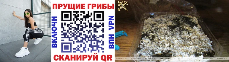 Галлюциногенные грибы прущие грибы  Купить  Топки 